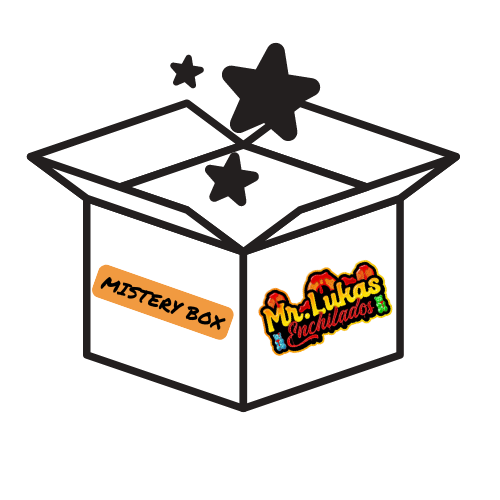 MR. LUKAS MYSTERY BOX